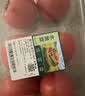 【水果菜】童年味道西红柿约1kg 实拍图