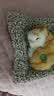 亦趣仿真猫玩偶会叫小猫咪毛绒玩具摆件可爱猫咪公仔女孩儿童生日礼物 会叫橘花猫咪+毛绒垫子 实拍图