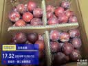 正宗四川小脆红 脆红李子 新鲜应季时令水果李子 新鲜尝鲜包邮 带箱5斤  单果12g+ 实拍图