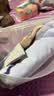 锦度（jindu）平角内裤女士纯棉裆高腰收腹安全女式四角短裤 杏+兰+灰+豆沙 XL 实拍图