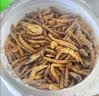 licheers龟粮虾干鱼干三合一乌龟饲料冻干昆虫鱼食乌龟怀孕粮食鱼干 800ml 实拍图