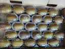 佳沛（zespri）金奇异果25-27粒原箱特大果124-146g猕猴桃中秋节礼品送水果礼盒 实拍图
