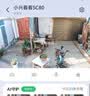 中兴（ZTE）小兴看看SC80云台版800万像素 超微光全彩 AI人形侦测手机查看双频家用摄像头监控 白色 实拍图
