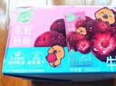 蒙牛真果粒牛奶饮品东魁杨梅味含乳饮料250g×12盒 卡皮巴拉中秋礼盒 实拍图