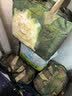 babycare金山茶花拉拉裤XXXXL26片(＞19kg)婴儿尿不湿超薄透气轻柔花苞裤 实拍图