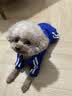 宝路狗粮 成犬全价粮中小型犬泰迪茶杯犬柯基鸡肉味1.8kg 实拍图