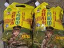 十月稻田 赤峰小米 1kg 内蒙古敖汉旗 黄小米杂粮 小米黄小米 中秋送礼 实拍图