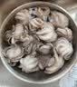 美加佳三去章鱼仔净重1斤（12-25只）火锅八爪鱼 去牙去脏中秋聚餐 实拍图