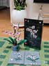 乐高（LEGO）积木10311 心动的信号同款兰花永生花男女孩玩具生日礼物赠礼袋 实拍图