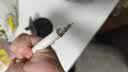 百乐（PILOT）Juice果汁笔黑色中性笔0.38签字笔按动水笔文具套装办公用品刷题笔高颜值 1支笔+10替芯 实拍图