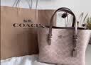 蔻驰（COACH）【品牌直供】女士MOLLIE 25中号斜挎托特包拿铁色CV965礼物次日达 实拍图