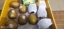 佳沛（zespri）新西兰金奇异果10粒巨大果146-175g猕猴桃中秋节礼品送水果礼盒 实拍图