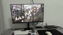 SANC盛色23.8英寸2K超频260Hz FastIPS显示器1ms 硬件低蓝光 耳机挂架小夜灯 升降支架电竞电脑屏幕G3Q 实拍图