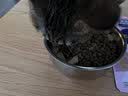 网易严选全价猫粮4.0成幼猫三文鱼亮毛养胃深海鱼虾1.8kg*6袋【宠物金选】 实拍图