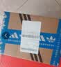 阿迪达斯（adidas）童鞋春秋款男女小童经典三叶草弹力鞋带贝壳头运动鞋IH3503 实拍图