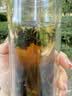 半山农桑叶双瓜茶250克(50包) 降冬瓜茶血糖养生专用茶包清凉苦瓜茶 实拍图