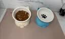 憨憨乐园猫碗陶瓷猫粮双碗斜口狗碗狗盆狗粮宠物幼猫咪吃饭食盆喝水喂食 实拍图