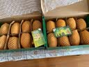 佳沛（zespri）新西兰金奇异果8粒特大果124-146g猕猴桃中秋节礼品送水果礼盒 实拍图