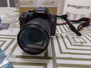 佳能/Canon 600D 700D 750D 760D 800D 850D二手单反相机新手学生入门旅游高清相机 750D+18-135 IS STM【套机】 准新 实拍图