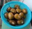 佳沛（zespri）新西兰金奇异果40粒全家福10斤原箱猕猴桃源头直发中秋水果礼盒品 实拍图