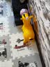 MAILE KID六一充气音乐跳跳马1一3岁婴儿宝摇摇马儿童节玩具男女孩生日礼物 实拍图