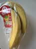佳农 超甜香蕉800g 实拍图