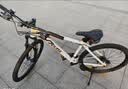 喜德盛（xds）山地自行车26款旭日310铝合金车架21速通勤成人单车 象牙白17 实拍图