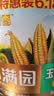香满园天天谷香玉米油6.18L 含植物甾醇 非转基因 金龙鱼荣誉出品 实拍图