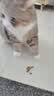 皇家猫粮 成猫猫粮 营养均衡 F32 通用粮 1-7岁 2KG 实拍图