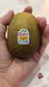 佳沛（zespri）新西兰金奇异果10粒巨大果146-175g猕猴桃中秋节礼品送水果礼盒 实拍图