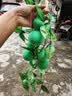 农家乐墙面装饰仿真蔬菜水果挂件串葫芦绿植藤条藤蔓吊顶管道遮挡 福禄藤条(1根3个葫芦) 实拍图