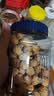 西域美农 无花果干500g 自然原色无花果 可做休闲零食即食泡水滋补煲汤 实拍图