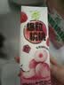 蒙牛真果粒白桃树莓味牛奶饮品240g×10盒 龚俊同款 送礼礼盒 实拍图