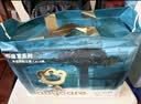 babycare皇室木法沙的王国纸尿裤箱装大号XL码62片(12-17kg)透气安心 实拍图