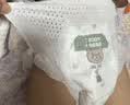 泰迪熊（Teddy Bear）洞洞裤拉拉裤3XL28片*2包夏季超薄透气婴儿尿不湿打孔散热亲肤 实拍图