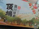 洛川苹果陕西嘎啦苹果2026年头茬新果新鲜采摘现摘现发新鲜苹果水果 15枚65mm礼盒装 实拍图