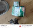 网易严选全价猫粮成幼猫主粮三文鱼亮毛深海鱼虾味1.8kg 【宠物金选】 实拍图