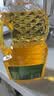 多力经典新疆玉米胚芽油1.8L 新疆原生高品质 非转基因压榨食用油 实拍图