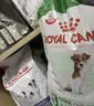 皇家狗粮 成犬狗粮 犬粮 宠物大型犬 GR26全价犬粮 ≥15月4KG 实拍图