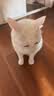 lorde里兜猫条猫零食营养补水猫草湿猫粮混合口味10gx80条 实拍图