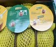 佳沛（zespri）新西兰金奇异果10个装单果重103-114g猕猴桃水果礼盒 实拍图