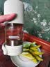 北鼎（Buydeem）泡茶随手杯茶水分离杯玻璃杯水杯男款女款泡茶杯子中秋节礼物 实拍图