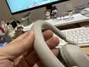 索尼（SONY）WH-1000XM5 头戴式无线降噪耳机 AI智能降噪 铂金银 开学必备 适用苹果 实拍图