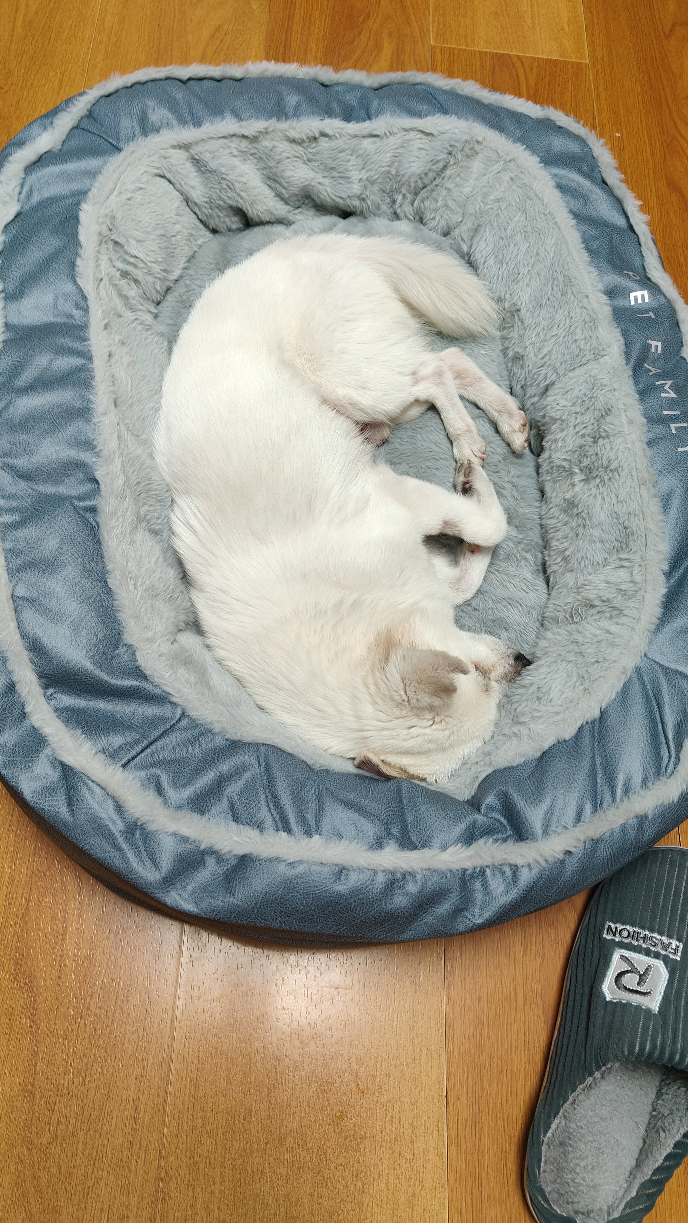 华元宠具（hoopet）狗窝保暖可拆洗中大型犬冬季狗床柴犬狗狗垫子睡垫宠物垫人类狗窝 实拍图