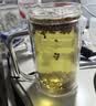 艺佰苦荞茶四川大凉山黄苦荞茶苦介茶黄金荞麦饭店餐厅特级养生茶500g 实拍图
