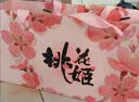 东阿阿胶桃花姬阿胶糕285g礼袋款即食阿胶糕 中秋礼品 送长辈礼物 营养品 实拍图