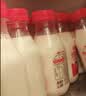 三元乐活高品质牛乳200ml*20瓶 冲咖啡 拌麦片 牛奶 实拍图