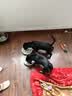 麦富迪狗狗零食 joy牛肉粒540g中小型犬磨牙棒训练奖励解馋宠物零食 实拍图
