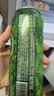 鹅岛IPA精酿啤酒经典500ml*18听整箱礼盒装百威集团京东自营中秋礼品 实拍图