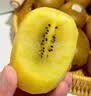 佳沛（zespri）新西兰金奇异果15粒巨大果146-175g猕猴桃水果礼盒 实拍图
